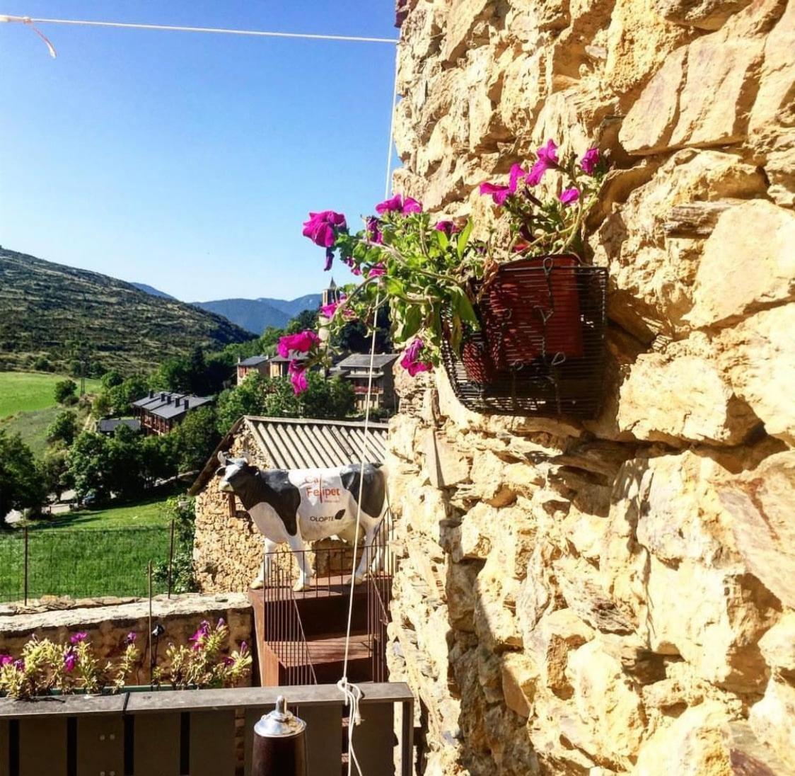 Preciosa Casa Rural Cal Felipet En Olopte-Cerdanya Exterior photo